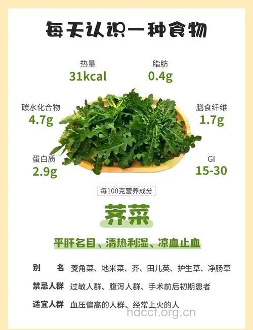 野菜的营养价值