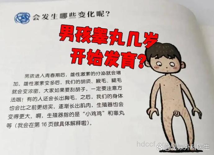 男性脆弱的本质胚胎时期就有了