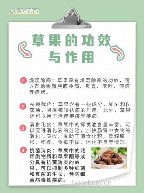 草果是什么 草果的功效与作用