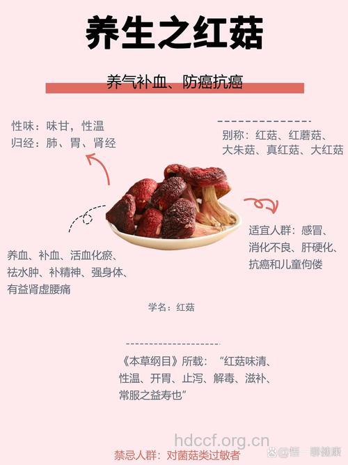 红菇的功效与作用