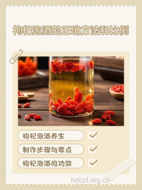 枸杞子泡酒喝的功效