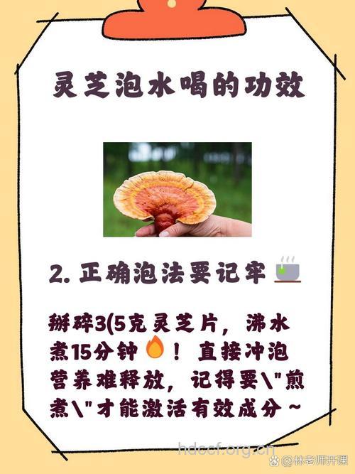 灵芝茶孕妇能喝吗 详解灵芝的功效作用