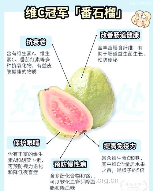 番石榴的营养价值