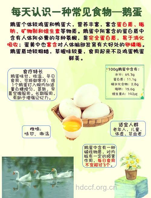 鹅蛋的功效与作用