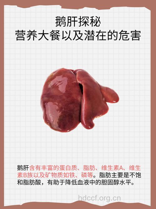 鹅肝的营养价值