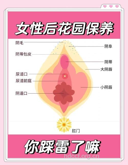 女性私处整形有哪些误区