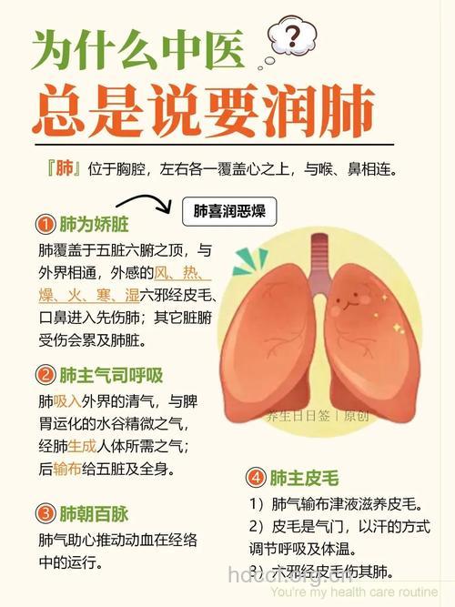 养肺的诀窍