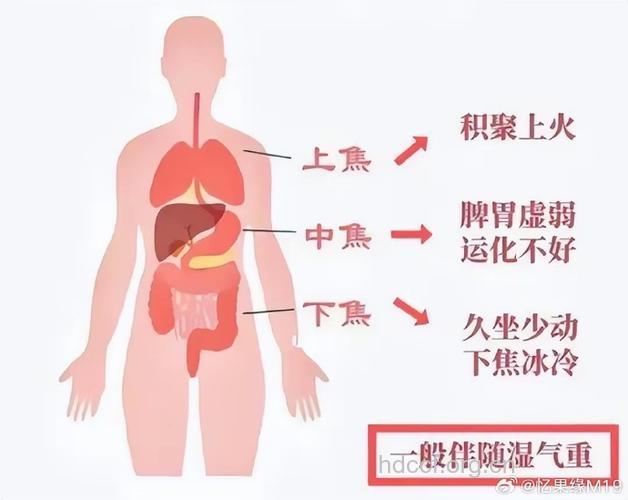 男性体质与疾病的关系