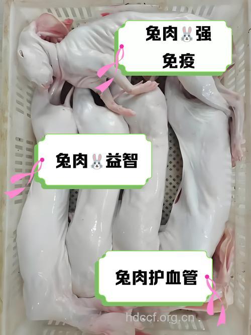 兔肉什么人不能吃 你知道吗