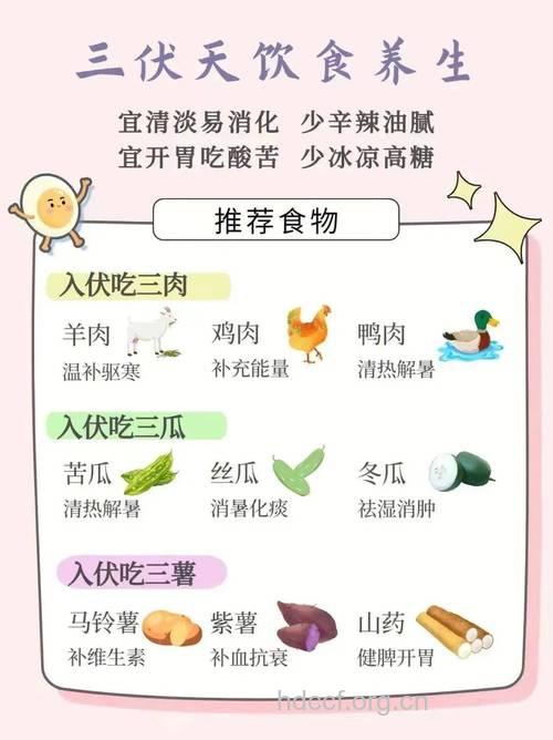 三伏天饮食不慎 这些误区容易让你元气大伤