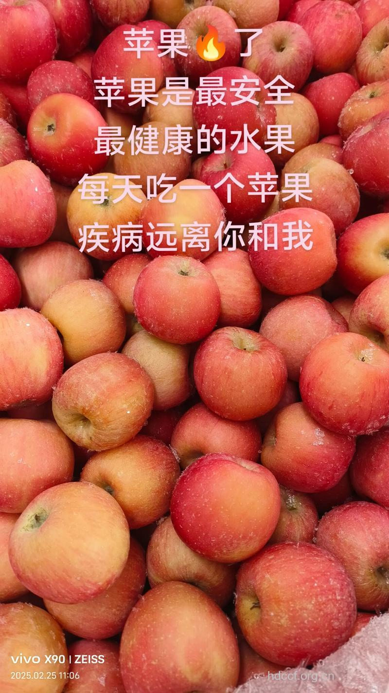 每日吃一个苹果健康