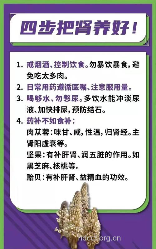 护肾需要注意的事项