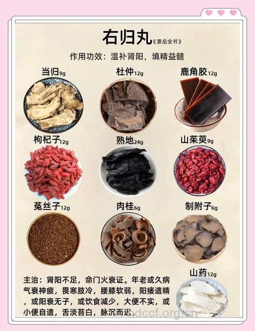几种古代医学书籍中的补肾药材