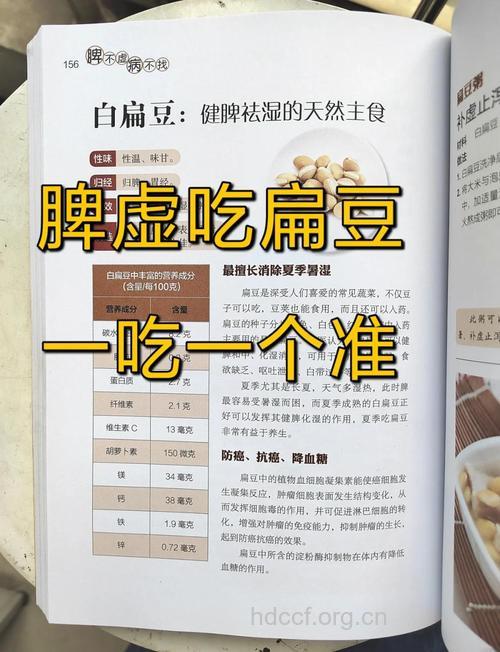 豆类蔬菜可以健脾胃