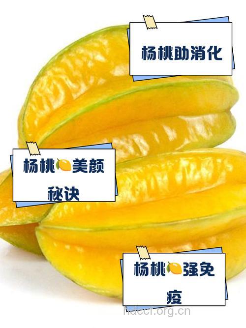 杨桃清热解毒能防牙痛