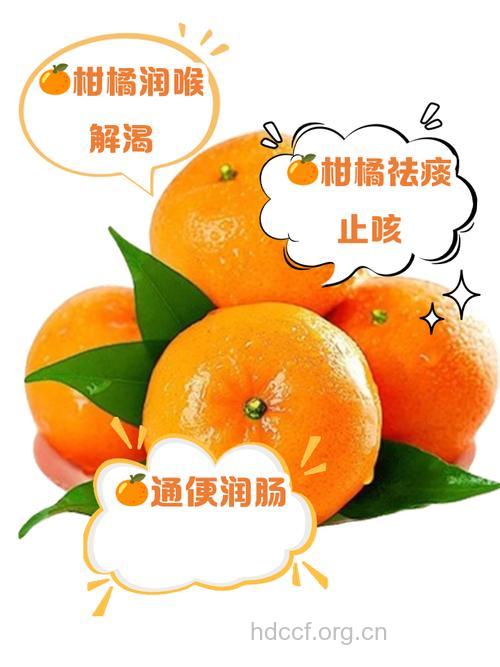 柑橘有利降低胆固醇