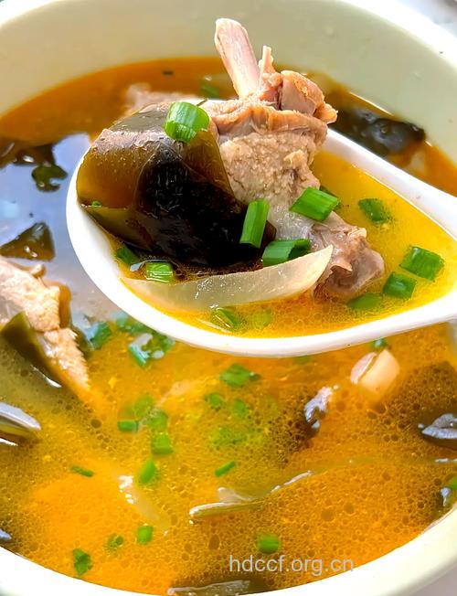 每周一汤：酸萝卜老鸭汤的做法大全