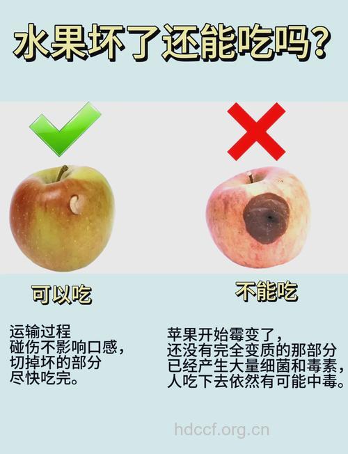 腐烂的水果都不能吃