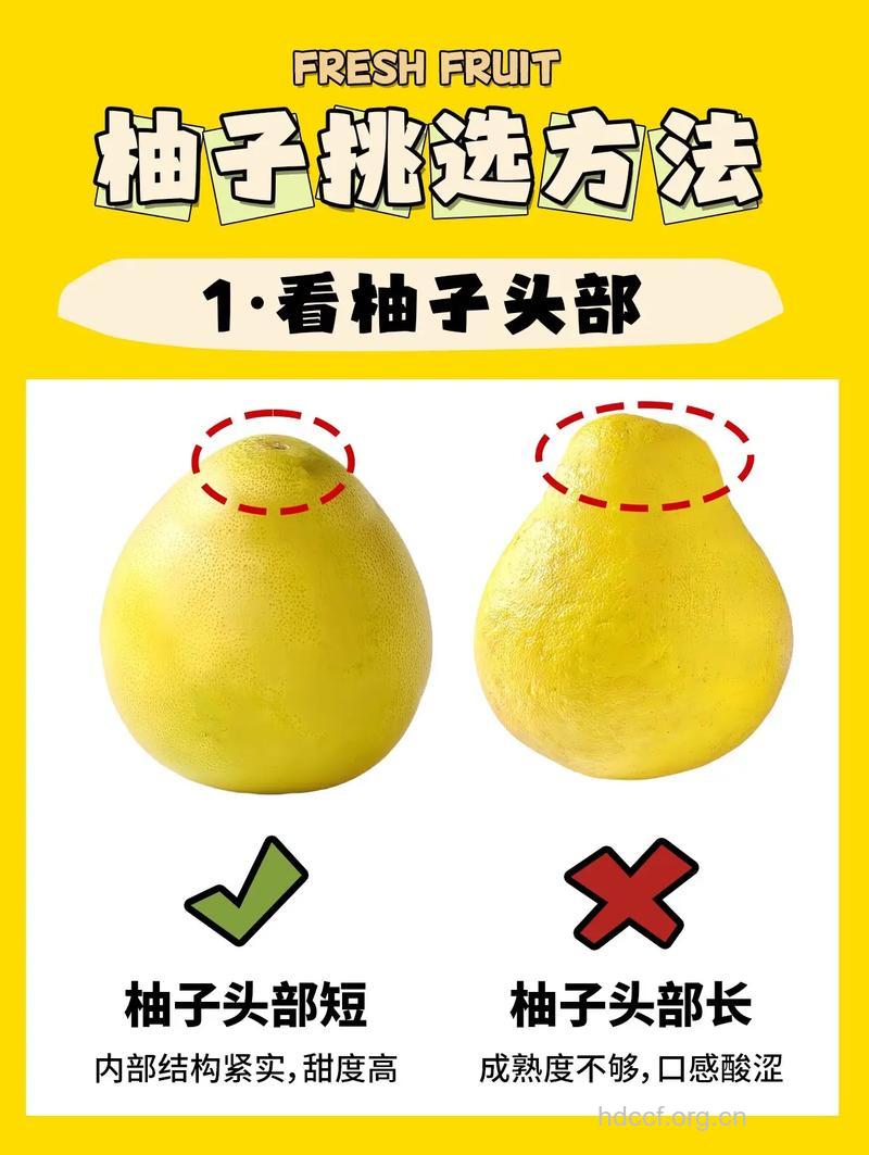 教你如何挑选胡柚