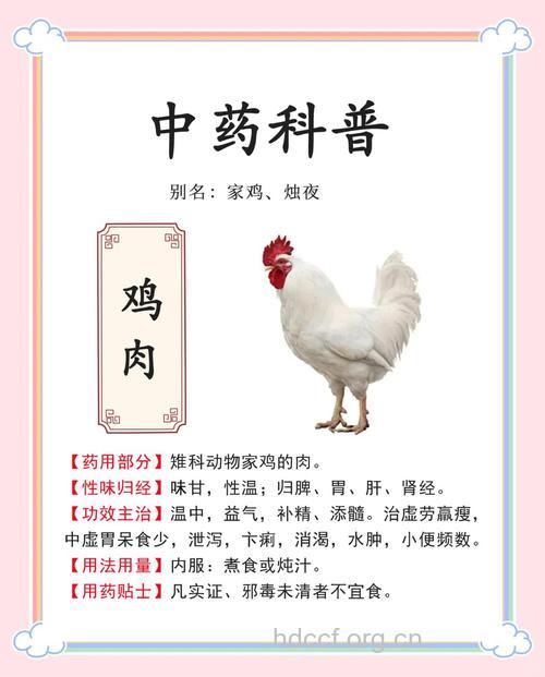 鸡肉的功效与作用