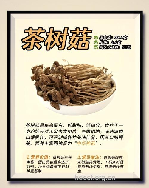 茶树菇的营养价值