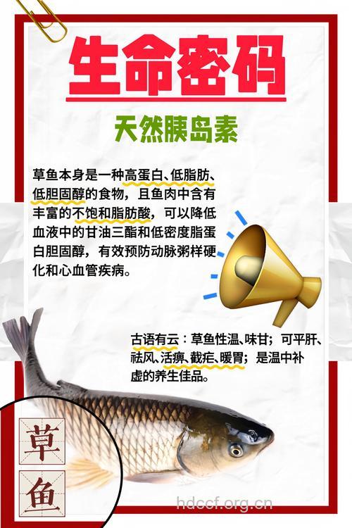 草鱼的营养价值