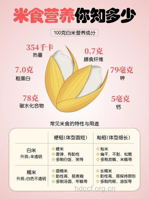 糙米的营养价值