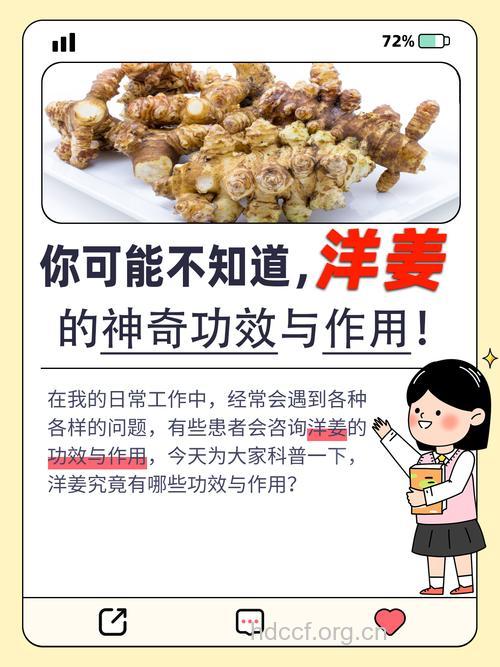 洋姜的功效与作用