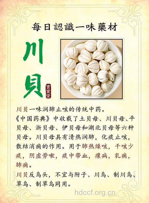 川贝的功效与作用