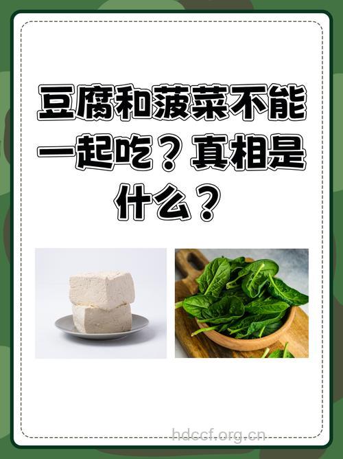 谣言:菠菜豆腐不能同食