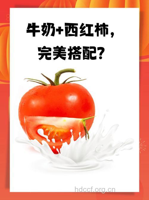 常喝牛奶应多吃番茄