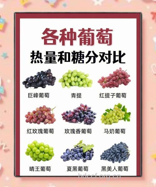 秋季多吃葡萄消内热