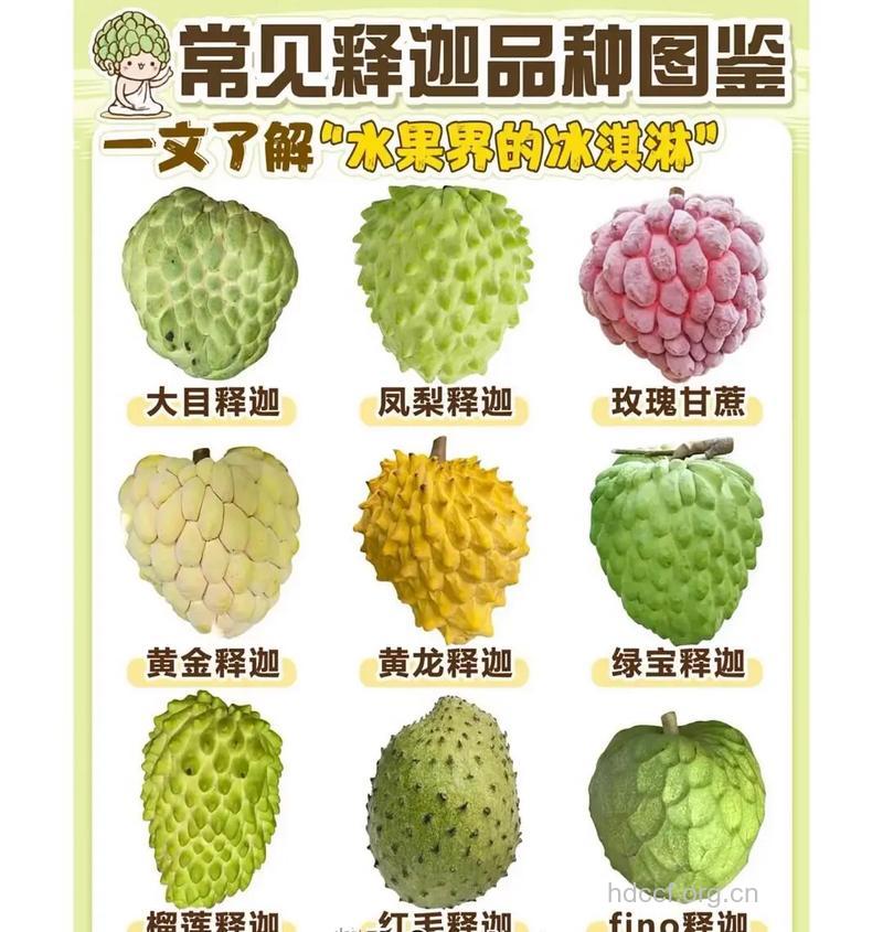 番荔枝的营养价值及吃法