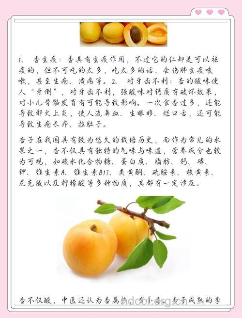 杏子的营养价值