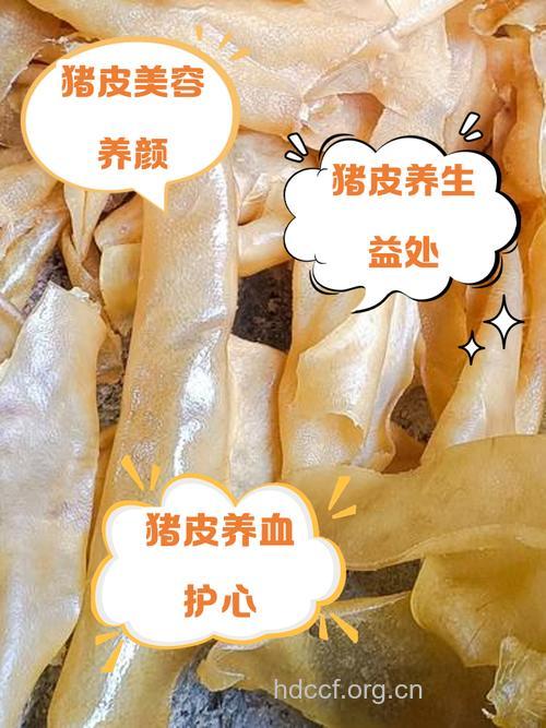 猪皮的功效与作用