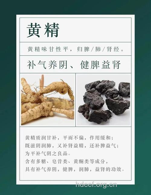 黄精的功效与作用
