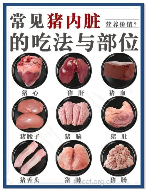 动物内脏到底能不能吃?