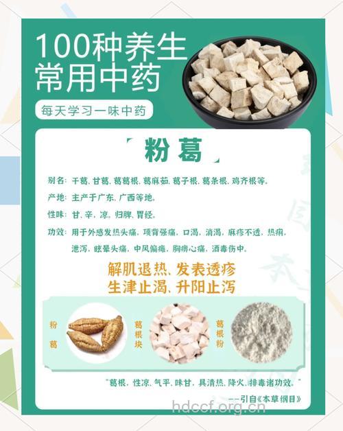 粉葛的功效与作用