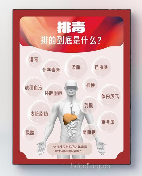 身体排毒 你了解吗