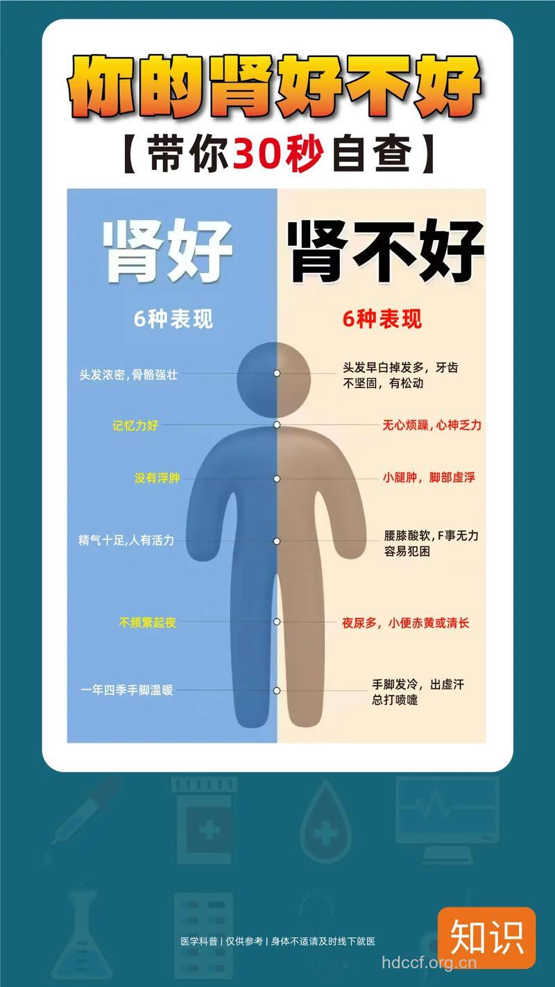男人怎么自己判断肾功能的好坏
