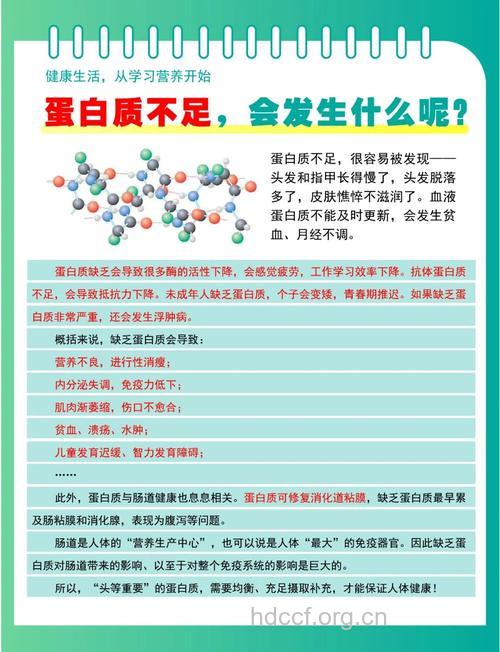 蛋白质摄入不足的四大危害