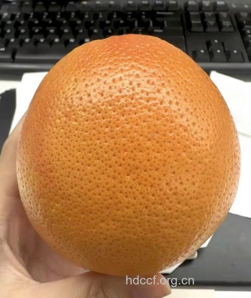 橘子为皮肤抗辐射