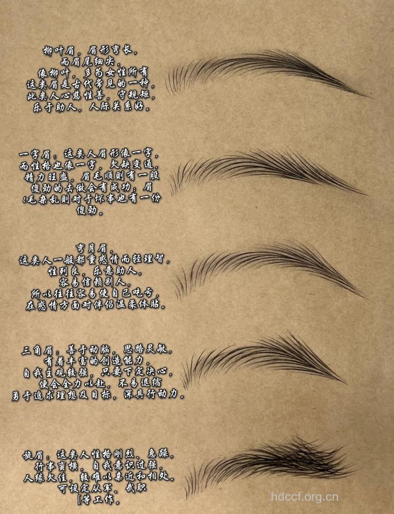 对眉毛的整形包括哪几种