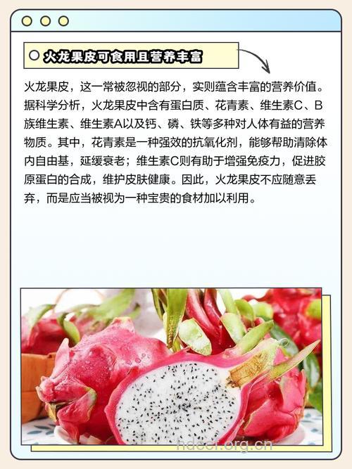 火龙果带皮吃更营养