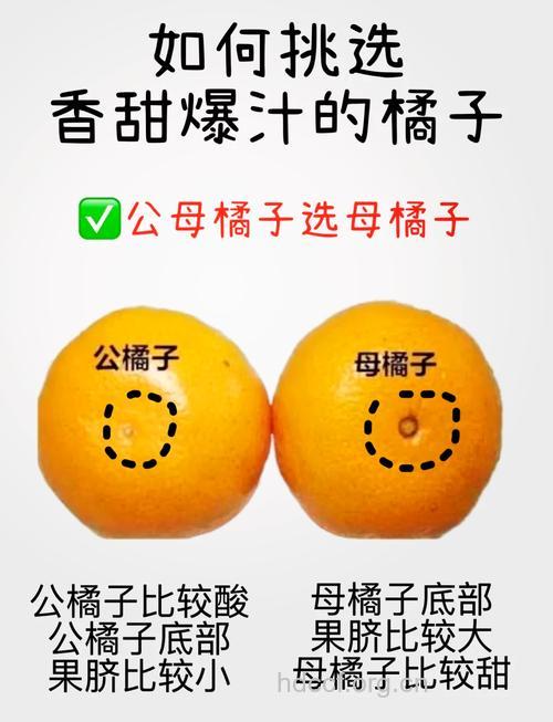 橘子该怎么判断甜不甜呢?