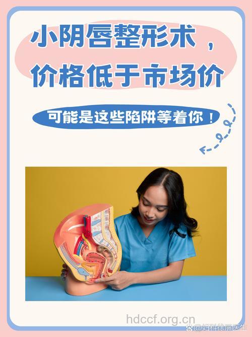 悄悄话 女性私处整形的价格参考
