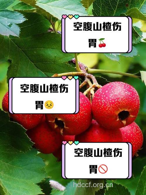 空腹吃山楂会怎么样？