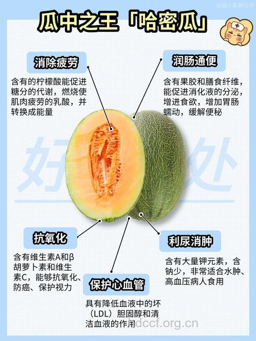 哈密瓜的功效与作用