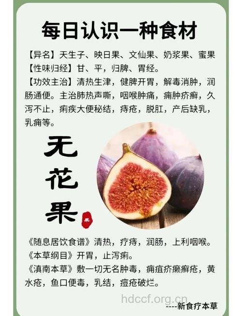 专治痔疮 无花果的4大功效