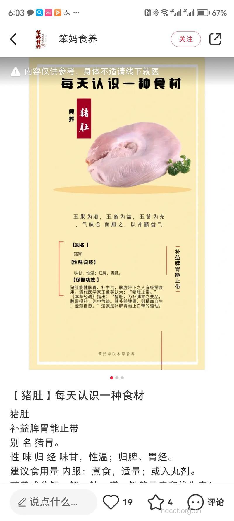 猪肚的功效与作用